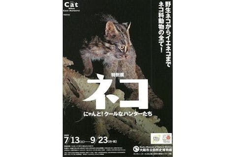 【前売ペア券】特別展「ネコ」～にゃんと！クールなハンターたち～ 2024/7/13～9/23