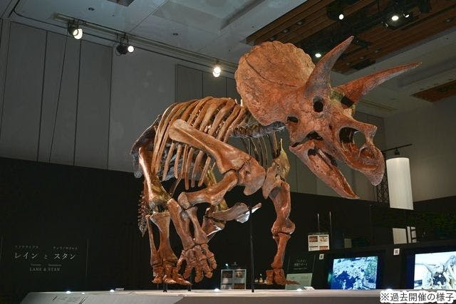 当日券】DinoScience 恐竜科学博 ～ララミディア大陸の恐竜物語