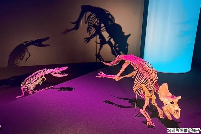 【匿名配送】恐竜科学博 ララミディア大陸の恐竜物語 Dino Science 恐竜科学博 ララミディア大陸の恐竜物語 - メルカリ