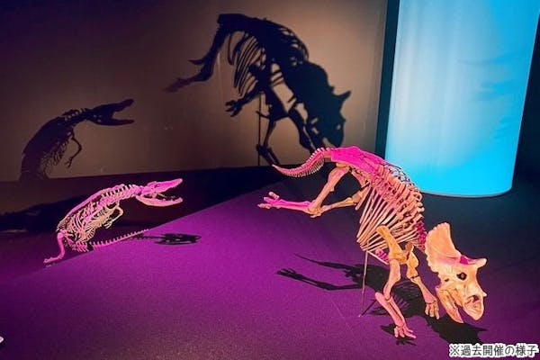 当日券】DinoScience 恐竜科学博 ～ララミディア大陸の恐竜物語～ 2024@OSAKA｜アソビュー！