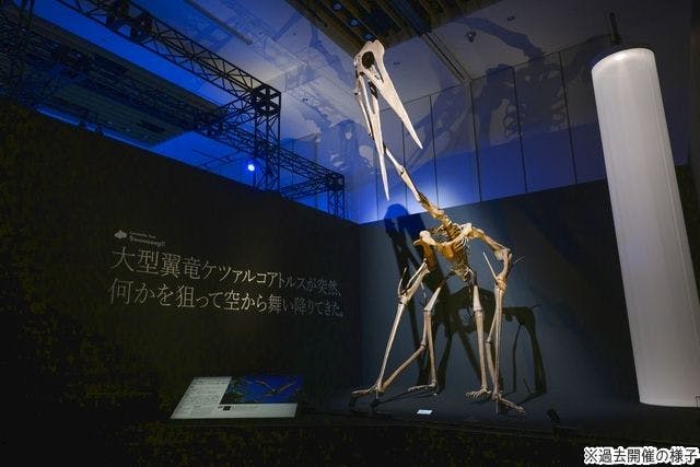 当日券】DinoScience 恐竜科学博 ～ララミディア大陸の恐竜物語