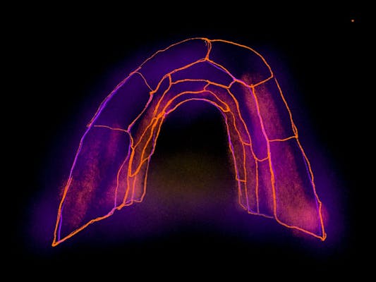 個別鑑賞券】金の縁路を越えて XIN QI (Fake Fire Atelier) ｜アソビュー！