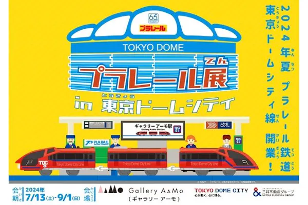 11回分】26年3月3日まで有効 土日祝は使用不可 東京