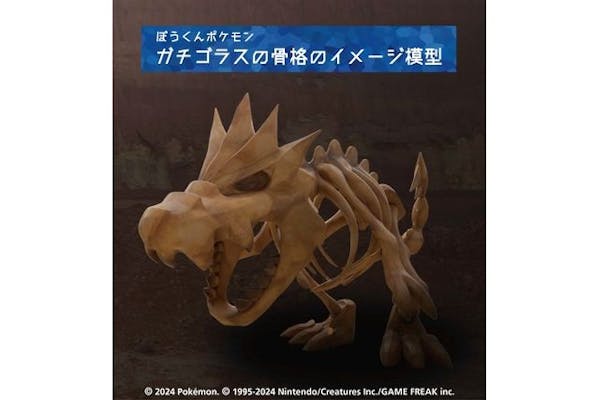 特別展「ポケモン化石博物館」 ＠岐阜県博物館（2024/7/19～10/27）｜アソビュー！