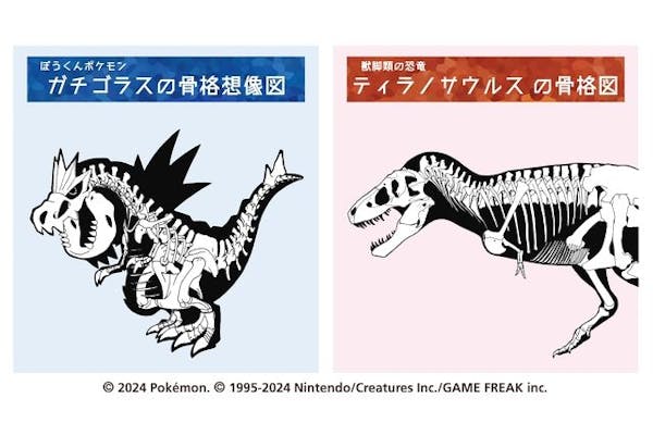 特別展「ポケモン化石博物館」 ＠岐阜県博物館（2024/7/19～10/27）｜アソビュー！