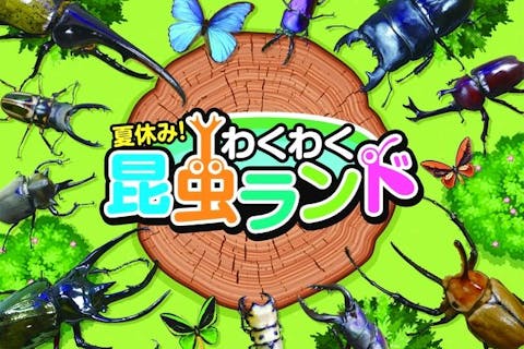 【当日券】夏休み！わくわく昆虫ランド　＠イオンモール Nagoya Noritake Garden