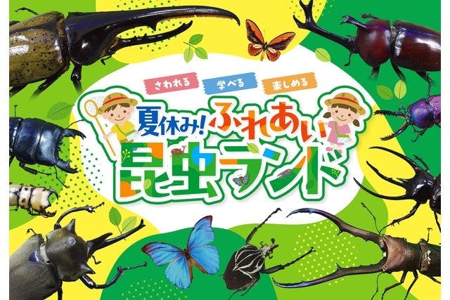【当日券】夏休み！ふれあい昆虫ランド