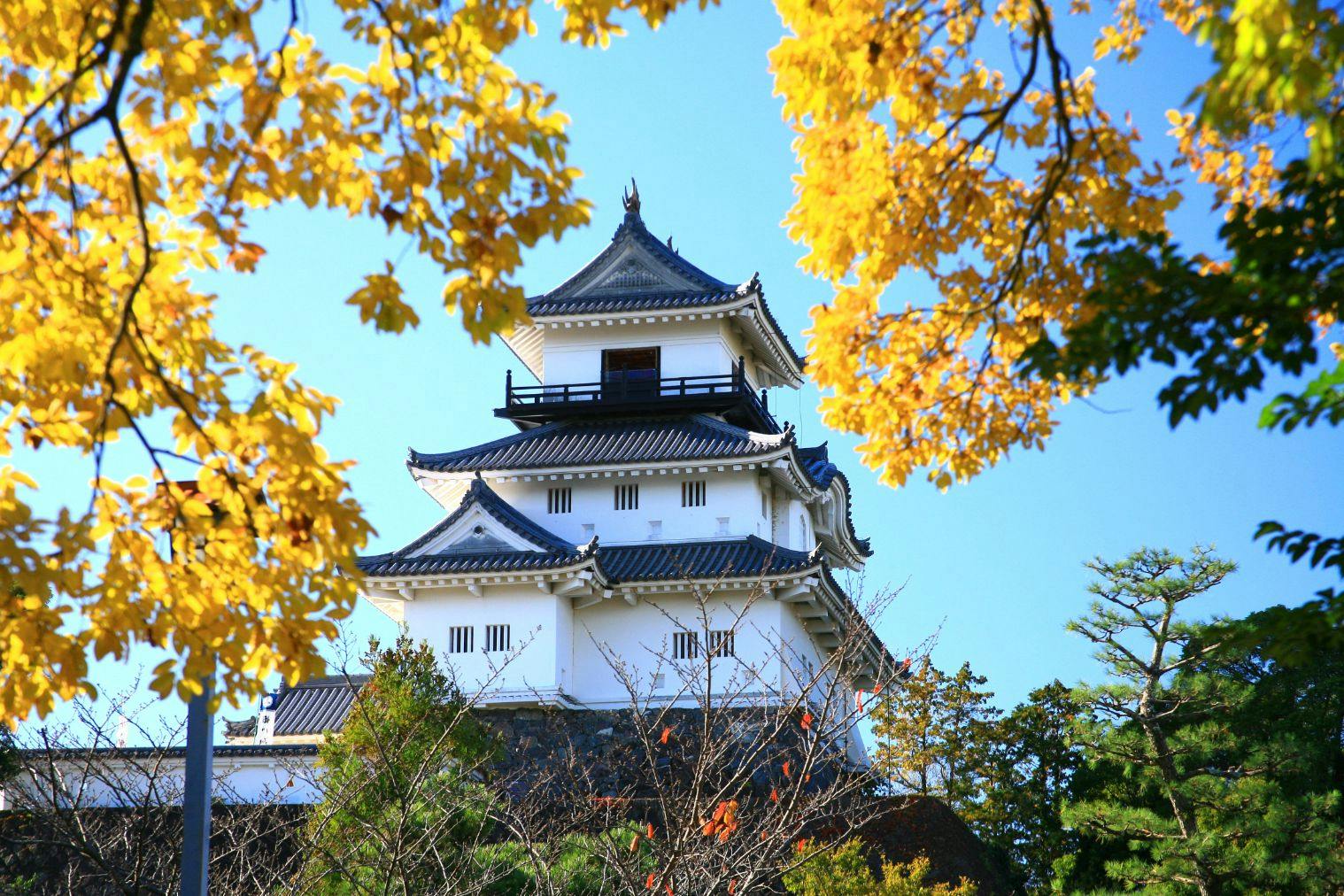 【入場チケット】掛川城/日本初の木造復元天守閣と四季折々の花が彩る歴史の旅
