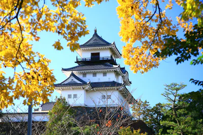 入場チケット】掛川城/日本初の木造復元天守閣と四季折々の花が彩る