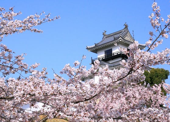 入場チケット】掛川城/日本初の木造復元天守閣と四季折々の花が彩る