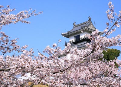 入場チケット】掛川城/日本初の木造復元天守閣と四季折々の花が彩る