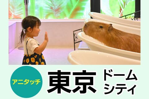 東京の動物園の割引チケット予約 おすすめランキング - アソビュー！