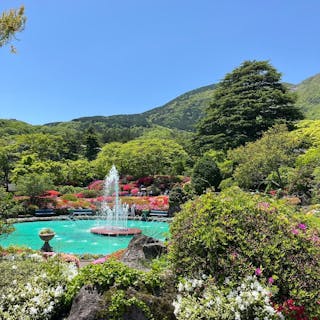 【入園チケット】小学生以下入園無料！花と大自然に囲まれた空に近い公園で四季折々のお花に癒されよう！