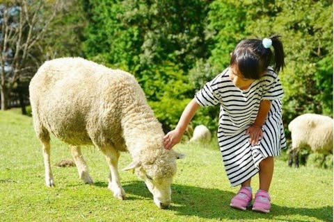 六甲山牧場入場券　※本チケットは待ち時間を短縮するものではありません。