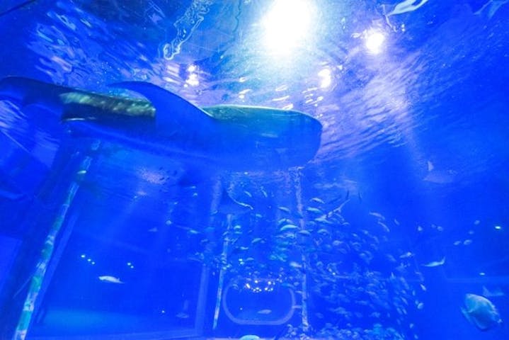 のとじま水族館