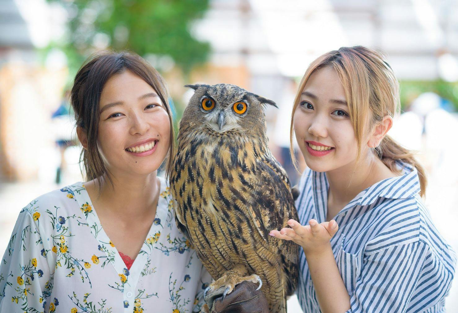 感動！花と鳥のふれあい体験 掛川花鳥園 入園チケット｜アソビュー！