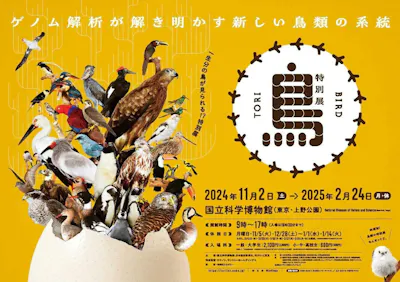 特別展「鳥 ～ゲノム解析が解き明かす新しい鳥類の系統～」国立科学