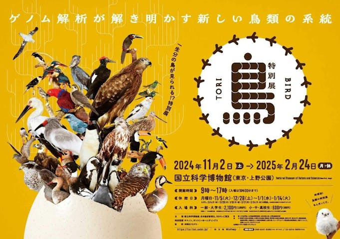 特別展「鳥 ～ゲノム解析が解き明かす新しい鳥類の系統～」国立科学博物館