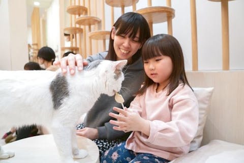 超特割！【21％割引】猫カフェモカ　イオンモール羽生　入場券（ドリンクバー・猫ちゃん用おやつ）