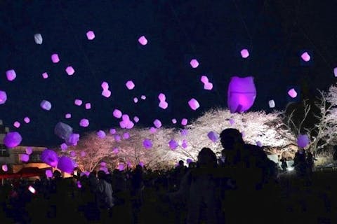 おいも夜桜ランタンバルーンフェスティバル2025