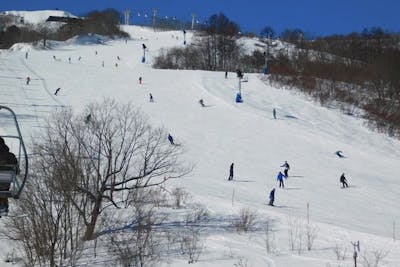 オープン～12/20利用可】白馬八方尾根スキー場 初すべりリフト1