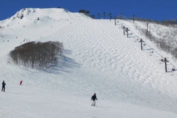 値下げしました！八方尾根スキー場・リフト一日券2回分（3日券の内