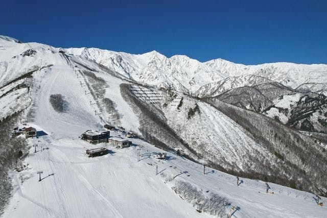 チャージ・12/21～3/9利用可】白馬八方尾根スキー場 リフト1日券