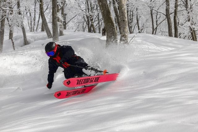 平日限定・500円割引】舞子スノーリゾート 1dayパス前売券（ゴンドラ