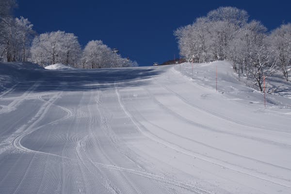 500円割引】赤倉観光リゾートスキー場 リフト・ゴンドラ2日券（2日間