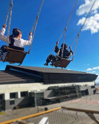 SWING MAX（大型ブランコ）体験チケット｜アソビュー！