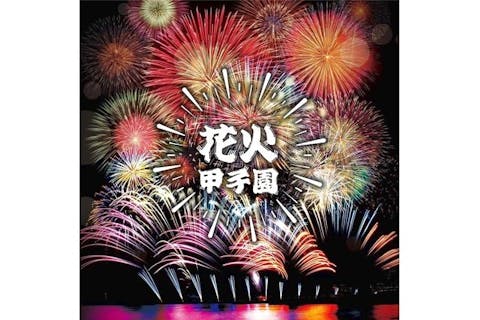 第５回花火甲子園　一般エリア入場券