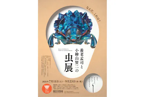 【前売券】７月１１日～９月２３日「養老孟司と小檜山賢二の虫展」