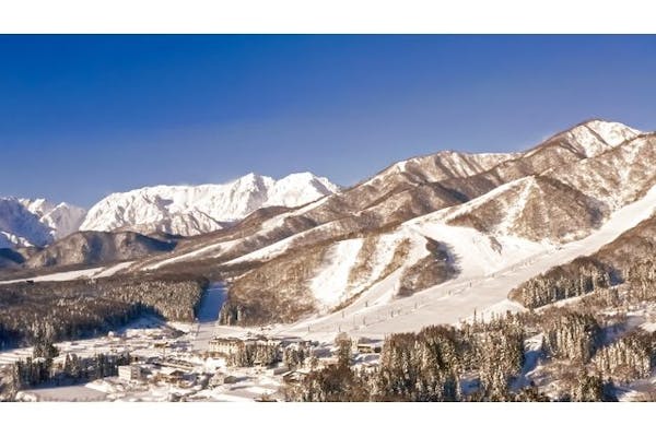 白馬コルチナスキー場 リフト1日引換券 ペア
