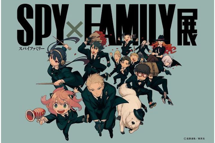 SPY×FAMILY展　神戸会場