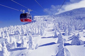 レギュラーシーズン・スキーこどもの日のみ】蔵王温泉スキー場 リフト