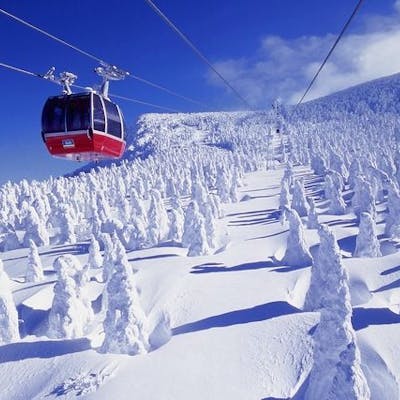 レギュラーシーズン・スキーこどもの日のみ】蔵王温泉スキー場 リフト レギュラーシーズン・スキーこどもの日のみ】蔵王温泉スキー場 リフト