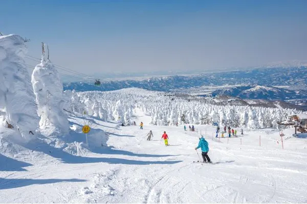 スプリングシーズン・スキーこどもの日のみ】蔵王温泉スキー場 リフト
