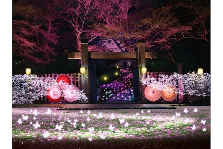 ぎふ灯り物語 ２０２６