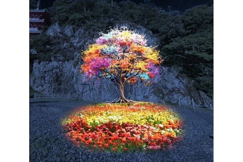 【平日｜前売券】ぎふ灯り物語 2026（1/17～2/1）