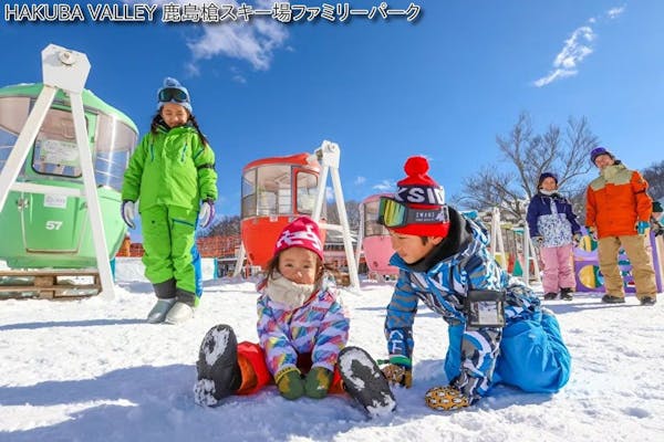 3社共通プレミアム券】プリンス×東急×NSD 24スキー場共通1日券 3社共通プレミアム券】プリンス×東急×NSD 24スキー場共通1日券