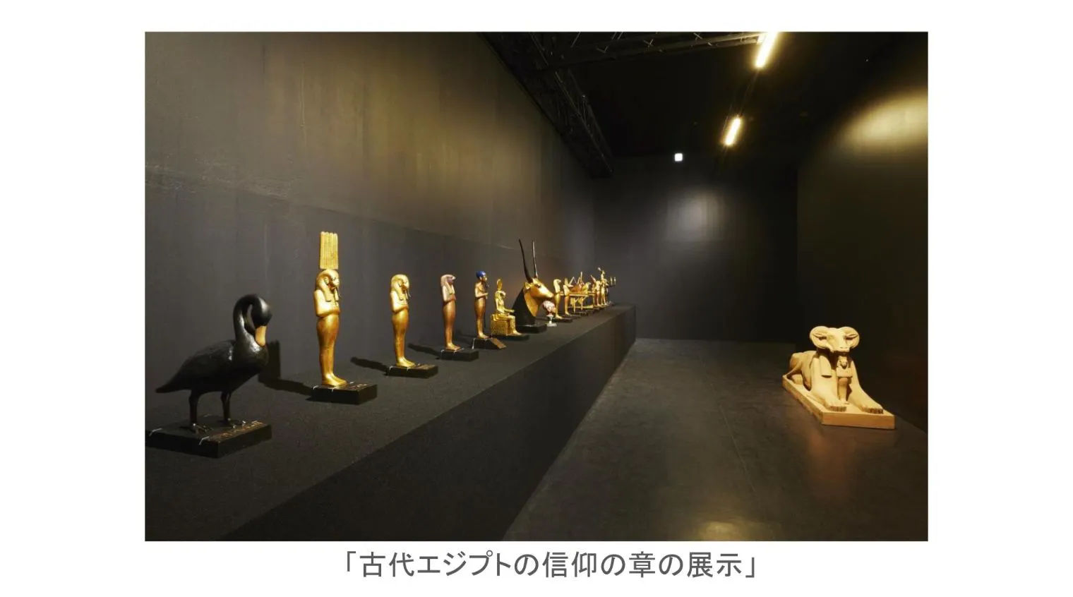 日付指定入場券】MYSTERY OF TUTANKHAMEN 体感型古代エジプト展