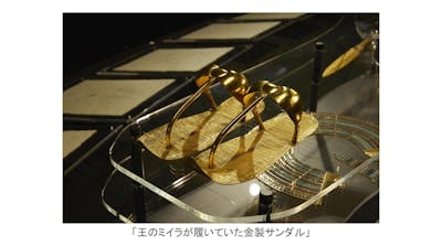 日付指定入場券】MYSTERY OF TUTANKHAMEN 体感型古代エジプト展
