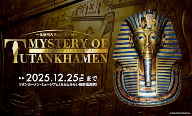エジプトのイスラーム文様展 図録 | Pay ID
