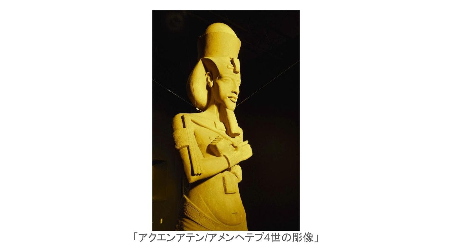日付指定入場券】MYSTERY OF TUTANKHAMEN 体感型古代エジプト展