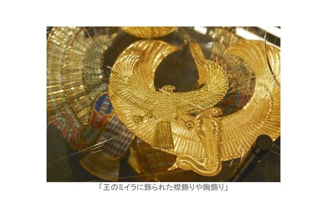 ナイトミュージアム】MYSTERY OF TUTANKHAMEN 体感型古代