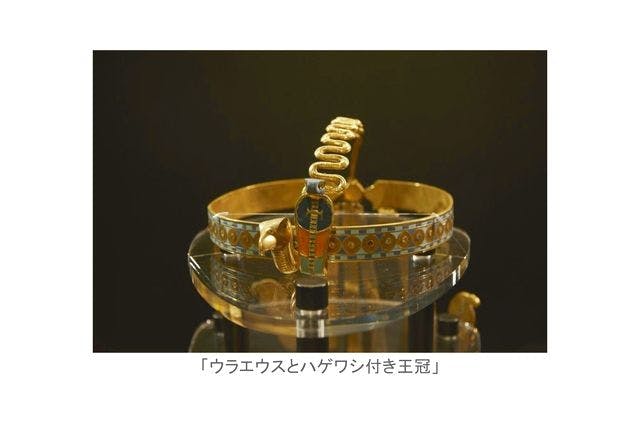 【 本 】 大エジプト展 (激レア・非売品) ナイトミュージアム】大好評につき、9月の追加開催決定いたし