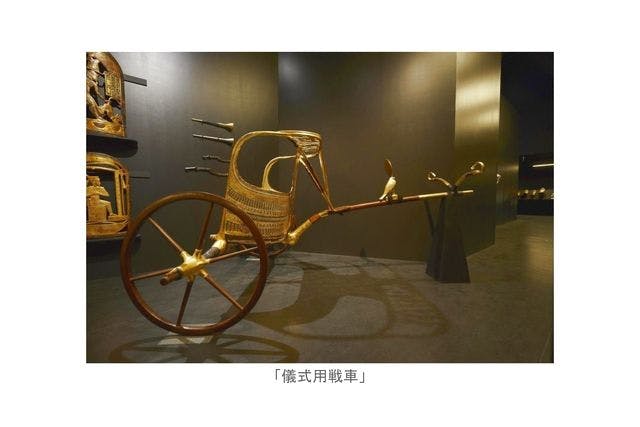 【 本 】 大エジプト展 (激レア・非売品) ナイトミュージアム】大好評につき、9月の追加開催決定いたし