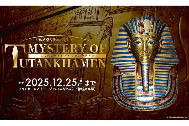 11月分）【ナイトミュージアム】MYSTERY OF TUTANKHAMEN 体感型古代