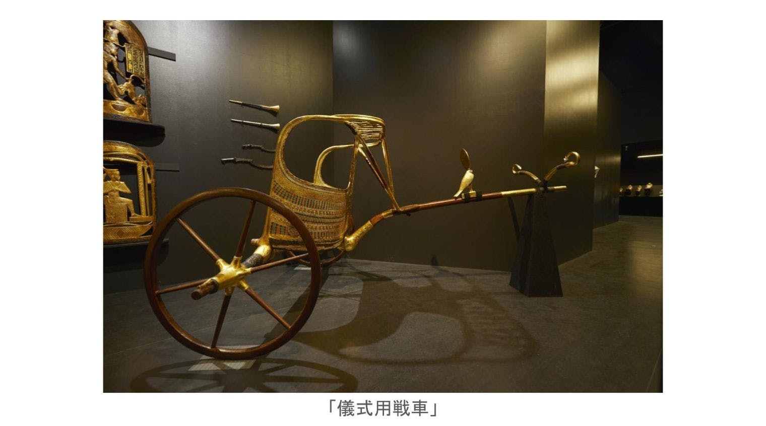 変化の狂信者 古の館底種 📍エジプト考古学博物館 ・ ・ ツタンカーメンを見に