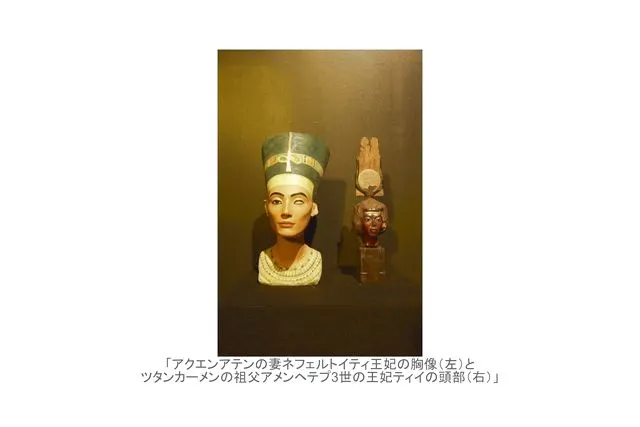 2026年5月分）【ナイトミュージアム】MYSTERY OF TUTANKHAMEN 体感型